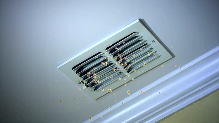 Best Dryer Vent Cleaning Services  in North Myrtle Beach, SC