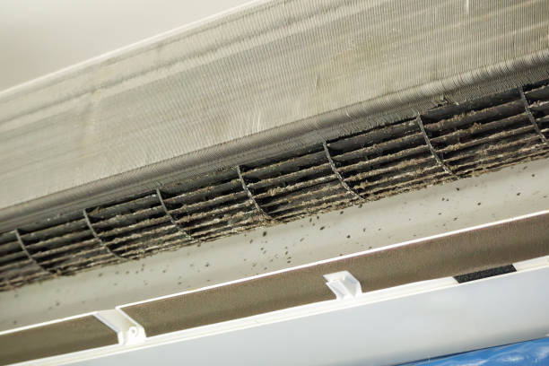 Best Affordable Air Duct Cleaning  in North Myrtle Beach, SC